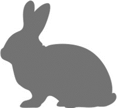 Rabbit App Rabbit App